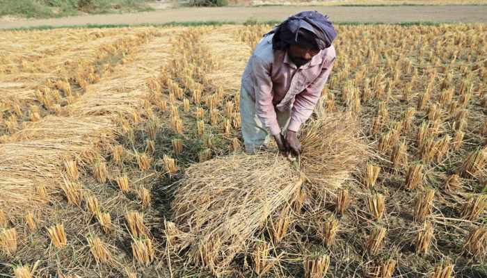 पराली प्रबंधन के लिए किसानों को प्रति एकड़ 1000 रुपए देगी सरकार
