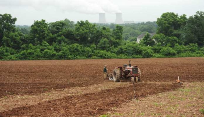 Farmer Farmer