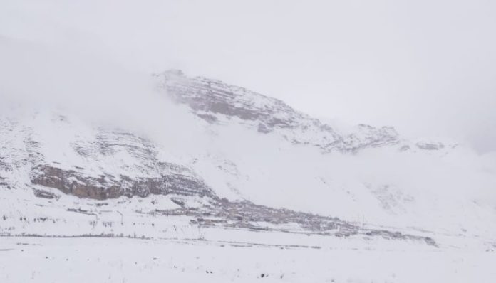 Snowfall 3 Snowfall 3