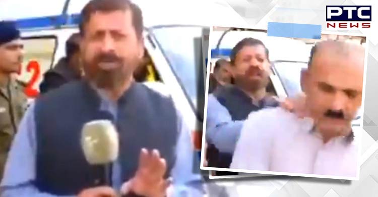 Pakistani TV reporter's hilarious faux pas [VIDEO]