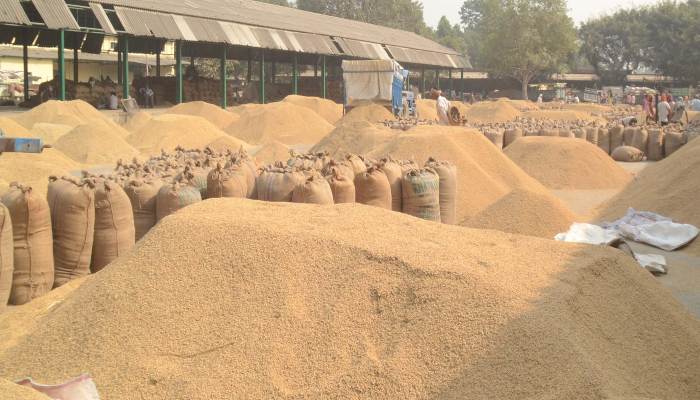 हरियाणा की राइस मिलों में बड़ा हेरफेर, वेरिफिकेशन के दौरान 35 हज़ार टन कम मिला चावल