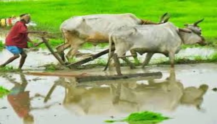 Loans of farmers up to Rs 2 lakhs to be waived off in Maharashtra Loans of farmers up to Rs 2 lakhs to be waived off in Maharashtra