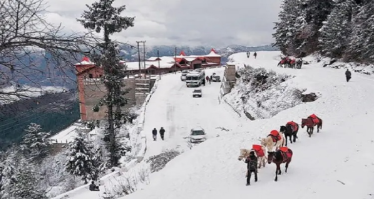 Himachal Pradesh: Shimla receives first snow of season, 4 NHs blocked
