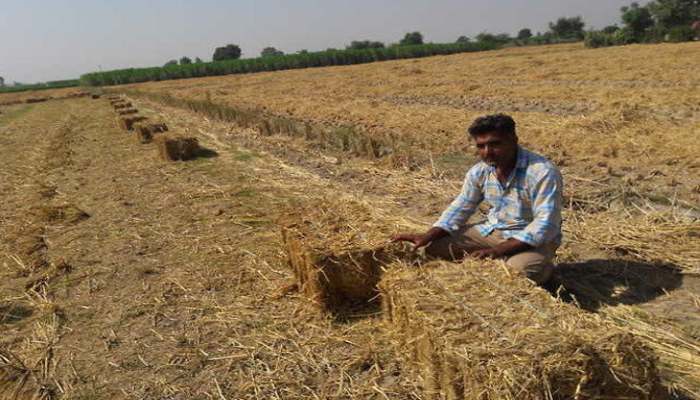 अब किसानों को नहीं जलानी पड़ेगी पराली, पराली निस्तारण संयंत्र का उद्घाटन करेंगे दुष्यंत