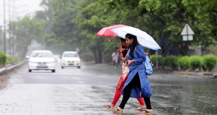 IMD predicts rain in Punjab and Haryana for next five days | Punjab News