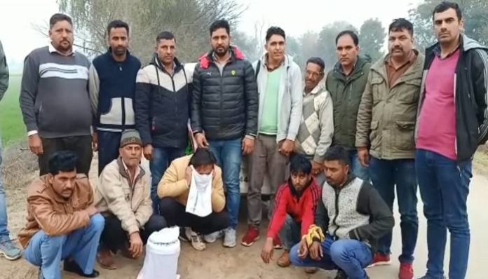 Five arrested with opium in Sirsa of Haryana Five arrested with opium in Sirsa of Haryana