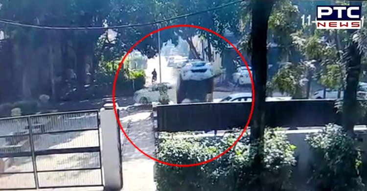 Chandigarh Road Accident: One injured as Fortuner rams into parked cars in Sector 37 [VIDEO]