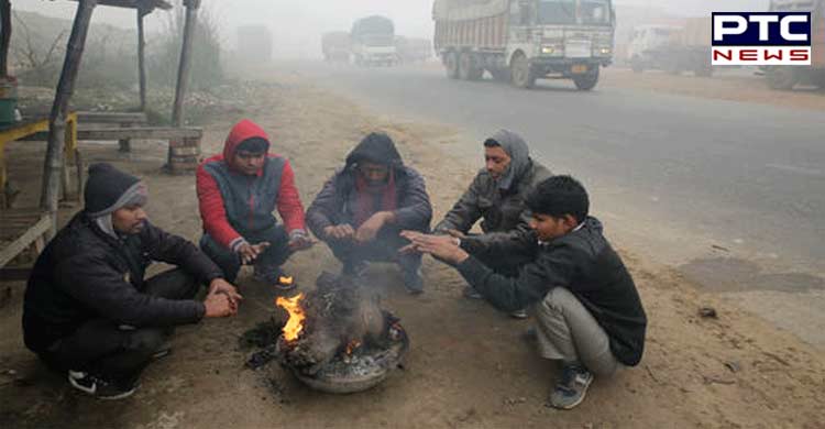 Cold wave conditions intensify in Punjab, Haryana and Chandigarh