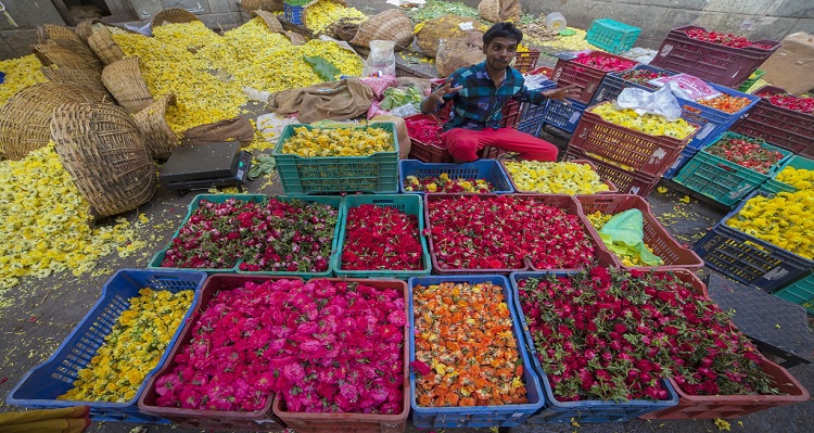 Flower vendor gets Rs 30 crore credit in wife’s bank account