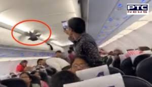 Pigeon Fly Inside flies inside Ahmedabad-Jaipur GoAir flight, Passengers Try To Catch Them