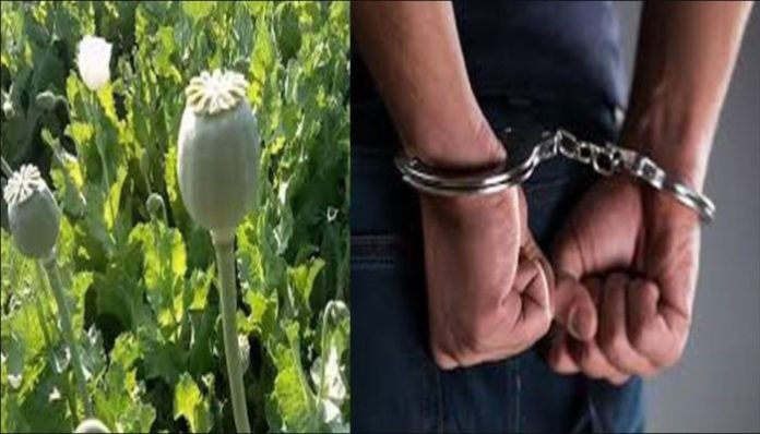 Haryana Special Task Force seizes 2.8 kg opium, two held Haryana Special Task Force seizes 2.8 kg opium, two held