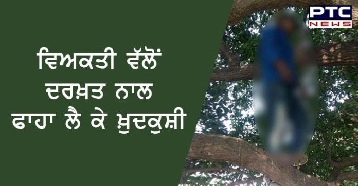 ਮੋਹਾਲੀ ਦੇ ਸੈਕਟਰ-70 'ਚ ਵਿਅਕਤੀ ਨੇ ਦਰੱਖਤ ਨਾਲ ਫ਼ਾਹਾ ਲੈ ਕੇ ਕੀਤੀ ਖ਼ੁਦਕੁਸ਼ੀ Mohali Sector-70 man suicide by hanging Tree, found dead body