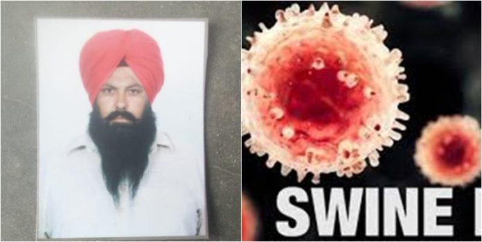 Swine Flu Swine Flu