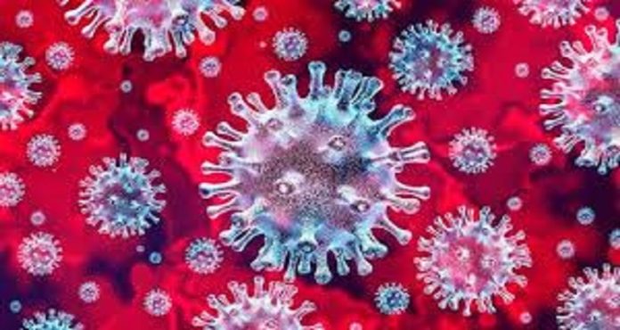 Coronavirus Coronavirus