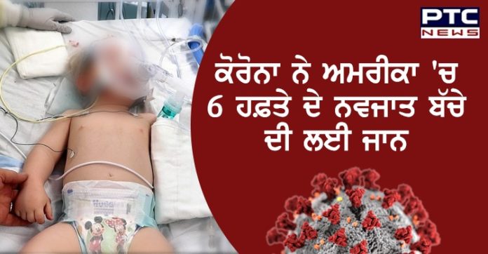 Coronavirus in america ਕੋਰੋਨਾ ਨੇ ਅਮਰੀਕਾ 'ਚ 6 ਹਫ਼ਤੇ ਦੇ ਨਵਜਾਤ ਬੱਚੇ ਦੀ ਲਈ ਜਾਨ