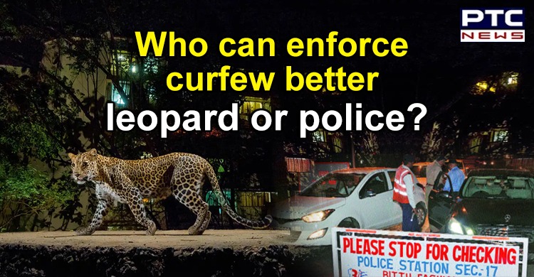 Who can enforce curfew better, leopard or police? asks UT Advisor