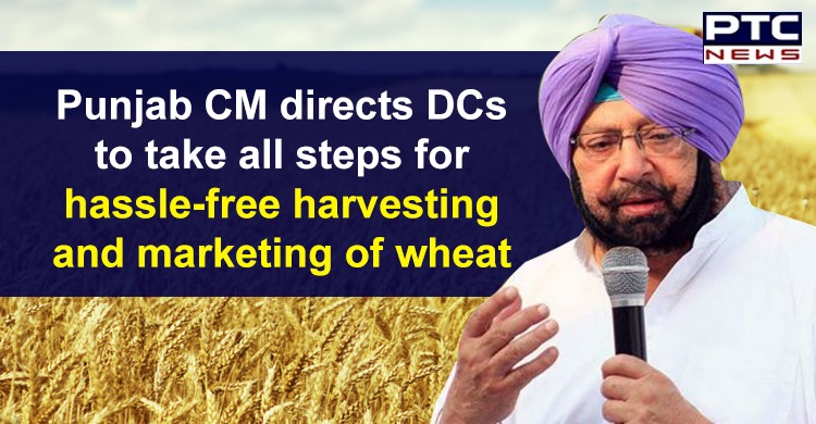 Punjab CM directs DCs to take all steps for hassle-free harvesting and marketing of wheat
