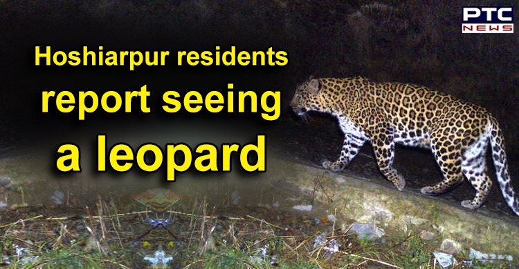 Amid coronavirus lockdown, residents report seeing leopard in Hoshiarpur