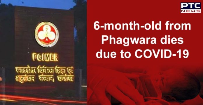 Coronavirus Phagwara 6-month-old Girl Dies at PGI Chandigarh , Kapurthala Death Coronavirus Phagwara 6-month-old Girl Dies at PGI Chandigarh , Kapurthala Death