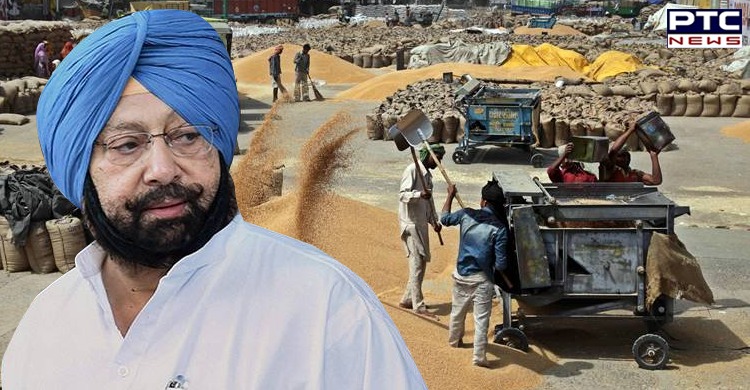Punjab CM deputes 6 IAS officers to visit and review Mandi operations