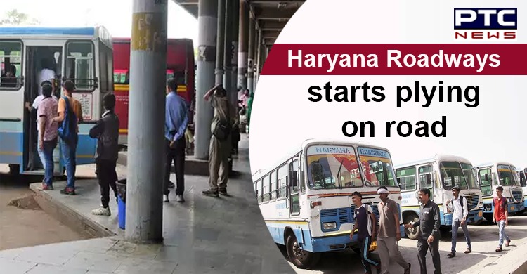 Haryana Roadways resumes bus services on select routes