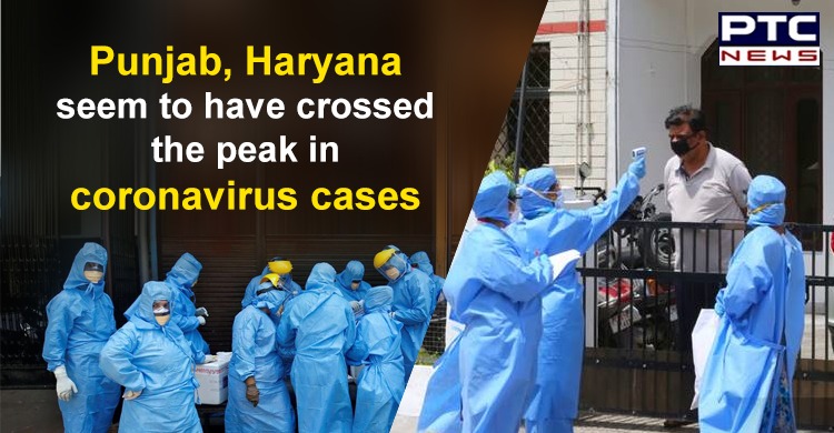 Punjab, Haryana seem to have crossed the peak in COVID-19 cases, says public health expert