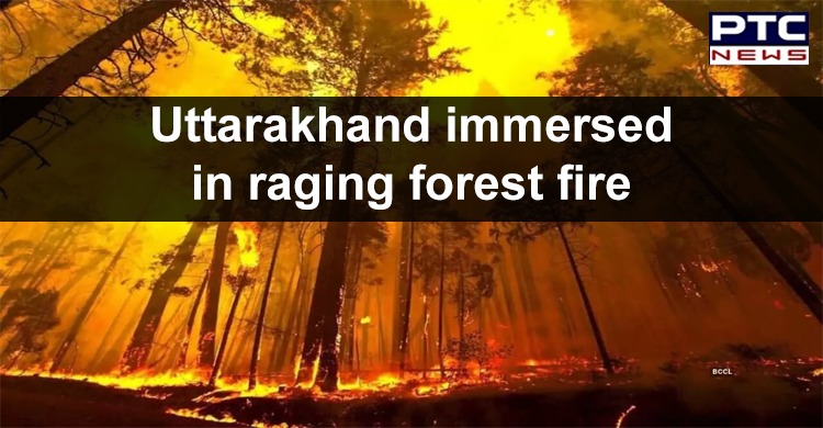 Uttarakhand Forest Fire: Over 46 wildfires in last four days, wildlife species in danger