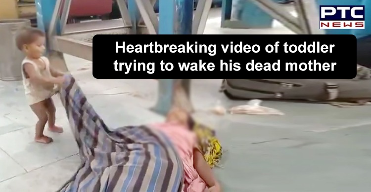 WATCH: Toddler's failed attempt to wake up dead mother, leaves netizens shaken