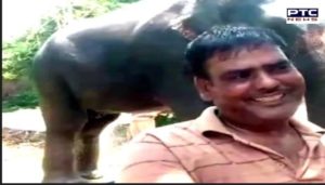 Elephants Name 5 crore Property byman in Bihar