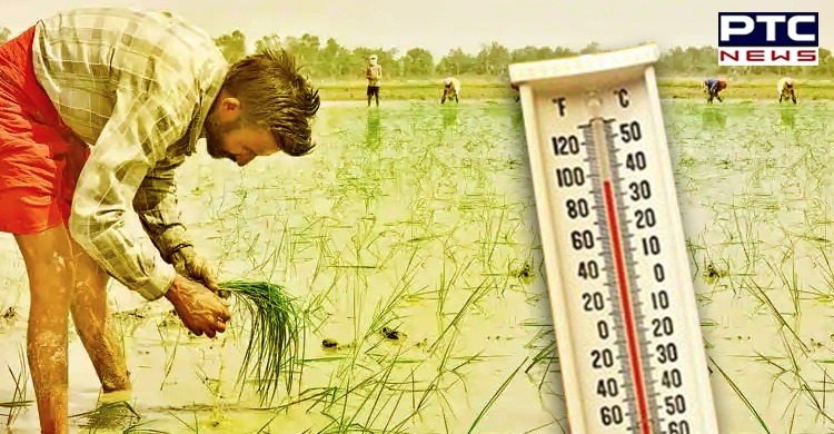 IMD predicts heatwave in Punjab in next two to three days