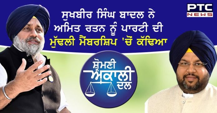 ਸੁਖਬੀਰ ਸਿੰਘ ਬਾਦਲ ਨੇ ਅਮਿਤ ਰਤਨ ਨੂੰ ਪਾਰਟੀ ਦੀ ਮੁੱਢਲੀ ਮੈਂਬਰਸ਼ਿਪ 'ਚੋਂ ਕੱਢਿਆ Sukhbir Singh Badal expels Amit Ratan from the party's original membership