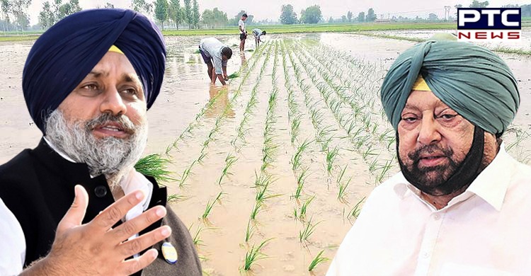 Sukhbir Singh Badal asks CM why he is misleading farmers on Farming Produce and Trade Ordinance