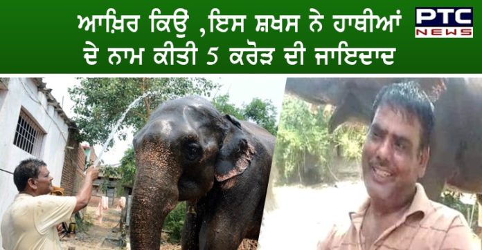 ਇਸ ਸ਼ਖਸ ਨੇ ਹਾਥੀਆਂ ਦੇ ਨਾਮ ਕੀਤੀ 5 ਕਰੋੜ ਦੀ ਜਾਇਦਾਦ, ਹੈਰਾਨ ਕਰਨ ਵਾਲਾ ਮਾਮਲਾ Elephants Name 5 crore Property byman in Bihar