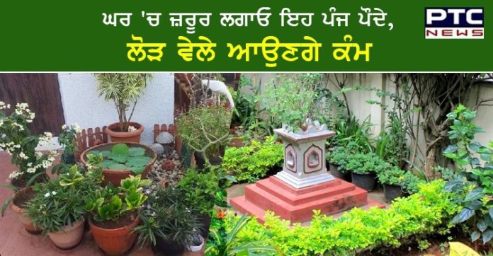 ਘਰ 'ਚ ਜ਼ਰੂਰ ਲਗਾਓ ਇਹ ਪੰਜ ਪੌਦੇ , ਲੋੜ ਵੇਲੇ ਆਉਣਗੇ ਕੰਮ https://www.ptcnews.tv/wp-content/uploads/2020/06/WhatsApp-Image-2020-06-11-at-7.36.24-PM.jpeg