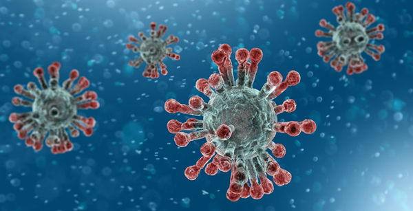 Coronavirus India Cases | COVID 19 Death Toll July 24