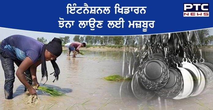 9 ਗੋਲਡ ਸਮੇਤ 24 ਮੈਡਲ ਜਿੱਤਣ ਵਾਲੀ ਇੰਟਨੈਸ਼ਨਲ ਖਿਡਾਰਨ ਝੋਨਾ ਲਾਉਣ ਲਈ ਮਜ਼ਬੂਰ