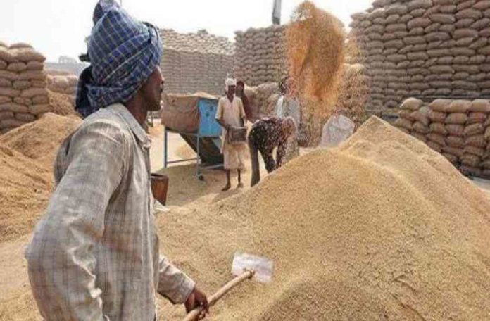 Paddy procurement Haryana Haryana Deputy CM Dushyant Chautala (1) Paddy procurement Haryana | Haryana Deputy CM Dushyant Chautala