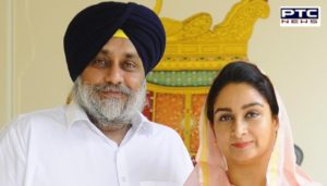 Sukhbir Singh Badal birthday SAD workers offered prayers and distributed laddu at Takht Sri Kesgarh Sahib