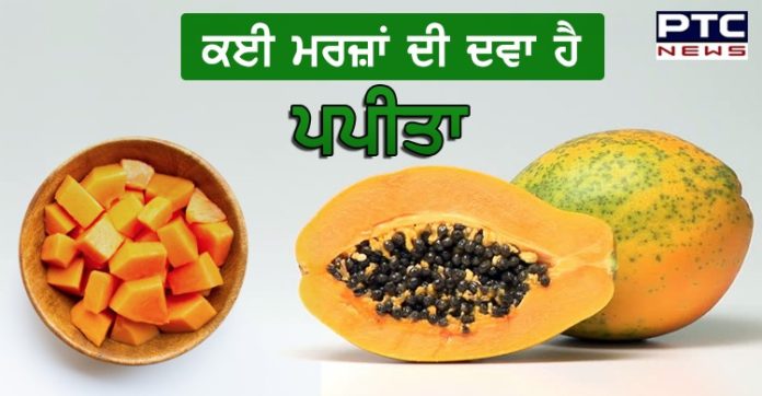 ਕਈ ਮਰਜ਼ਾਂ ਦੀ ਦਵਾ ਹੈ ਪਪੀਤਾ, ਇਸਦਾ ਸੇਵਨ ਹੈ ਲਾਭਕਾਰੀ, ਦੂਰ ਭੱਜੇ ਬਿਮਾਰੀ https://www.ptcnews.tv/wp-content/uploads/2020/07/WhatsApp-Image-2020-07-04-at-5.19.05-PM.jpeg