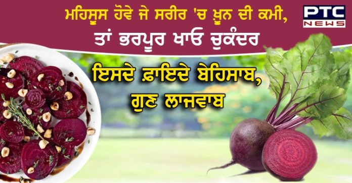 ਕਈ ਗੁਣਾਂ ਨਾਲ ਭਰਪੂਰ ਹੈ ਚੁਕੰਦਰ , ਆਓ ਜਾਣੀਏ ਇਸਦੇ ਸੇਵਨ ਨਾਲ ਹੋਣ ਵਾਲੇ ਫ਼ਾਇਦੇ Health Benefits of Beetroots