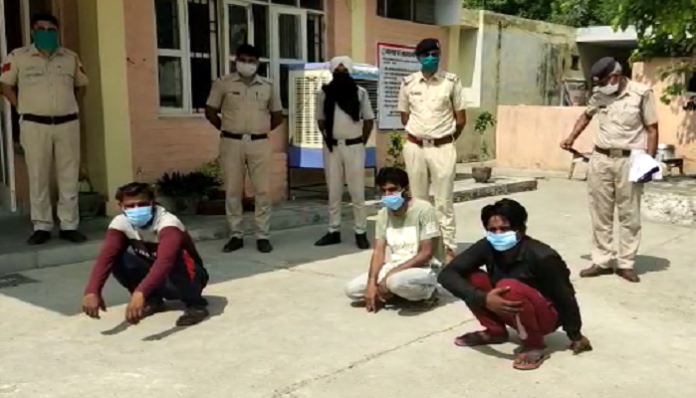 Three miscreants arrested for looting passersby | Haryana News Three miscreants arrested for looting passersby | Haryana News