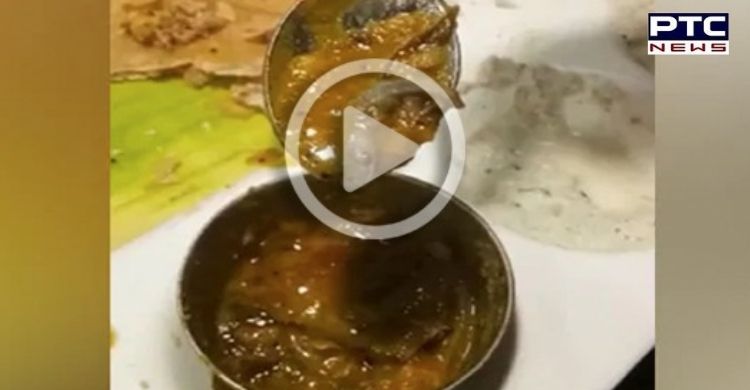 Viral Video: Man finds lizard in sambar at Delhi's top restaurant