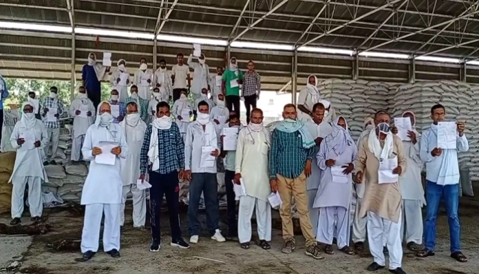 Farmer Protest in Narnaund Wheat Crop Payment (1) Farmer Protest in Narnaund Wheat Crop Payment