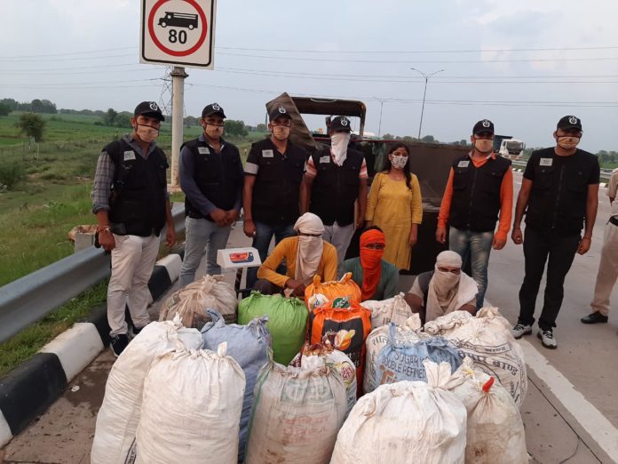 Haryana STF recover huge cache of ganja, three held (1) Haryana STF recover huge cache of ganja, three held
