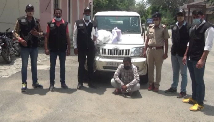 Hisar STF arrested man with drugs worth crores of rupees (2) Hisar STF arrested man with drugs worth crores of rupees