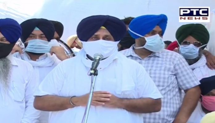 ਪਾਵਨ ਸਰੂਪ ਗੁੰਮ ਹੋਣ ਦੇ ਮਾਮਲੇ 'ਤੇ ਸ਼੍ਰੋਮਣੀ ਅਕਾਲੀ ਦਲ ਵੱਲੋਂ ਪਟਿਆਲਾ ਵਿਖੇ ਐਸਐਸਪੀ ਦਫ਼ਤਰ ਮੂਹਰੇ ਧਰਨਾ
