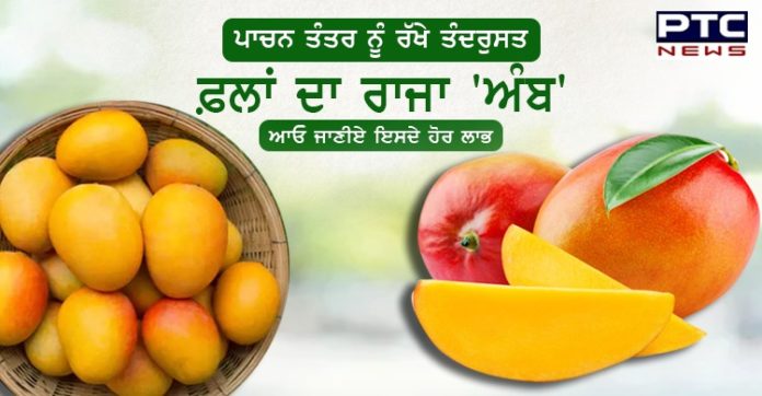 ਪਾਚਨ ਤੰਤਰ ਨੂੰ ਰੱਖੇ ਤੰਦਰੁਸਤ , ਫਲਾਂ ਦਾ ਰਾਜਾ ਅੰਬ , ਜਾਣੋ ਹੋਰ ਫ਼ਾਇਦੇ ਪਾਚਨ ਤੰਤਰ ਨੂੰ ਰੱਖੇ ਤੰਦਰੁਸਤ , ਫਲਾਂ ਦਾ ਰਾਜਾ ਅੰਬ , ਜਾਣੋ ਹੋਰ ਫ਼ਾਇਦੇ