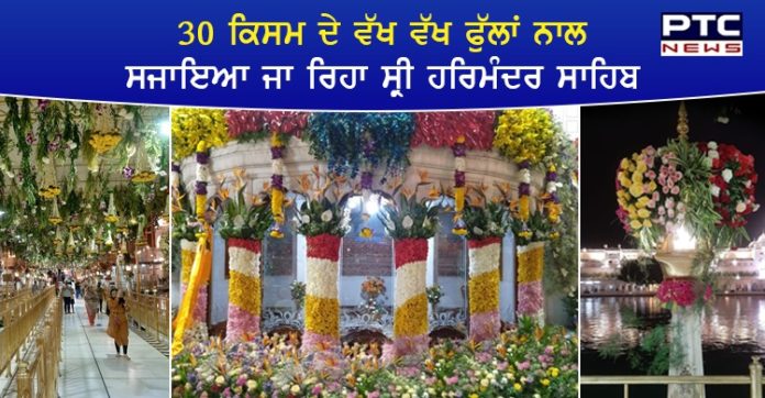 WhatsApp Image 2020-08-18 at 16.44.49