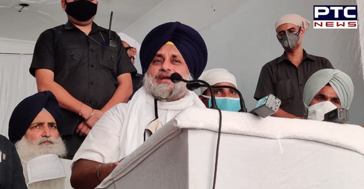 Sukhbir Badal says, ‘Capt Amarinder Singh trying to defame Punjab farmers’ struggle’