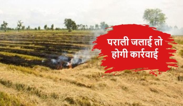 Ban on Stubble Burning in Fatehabad of Haryana Ban on Stubble Burning in Fatehabad of Haryana